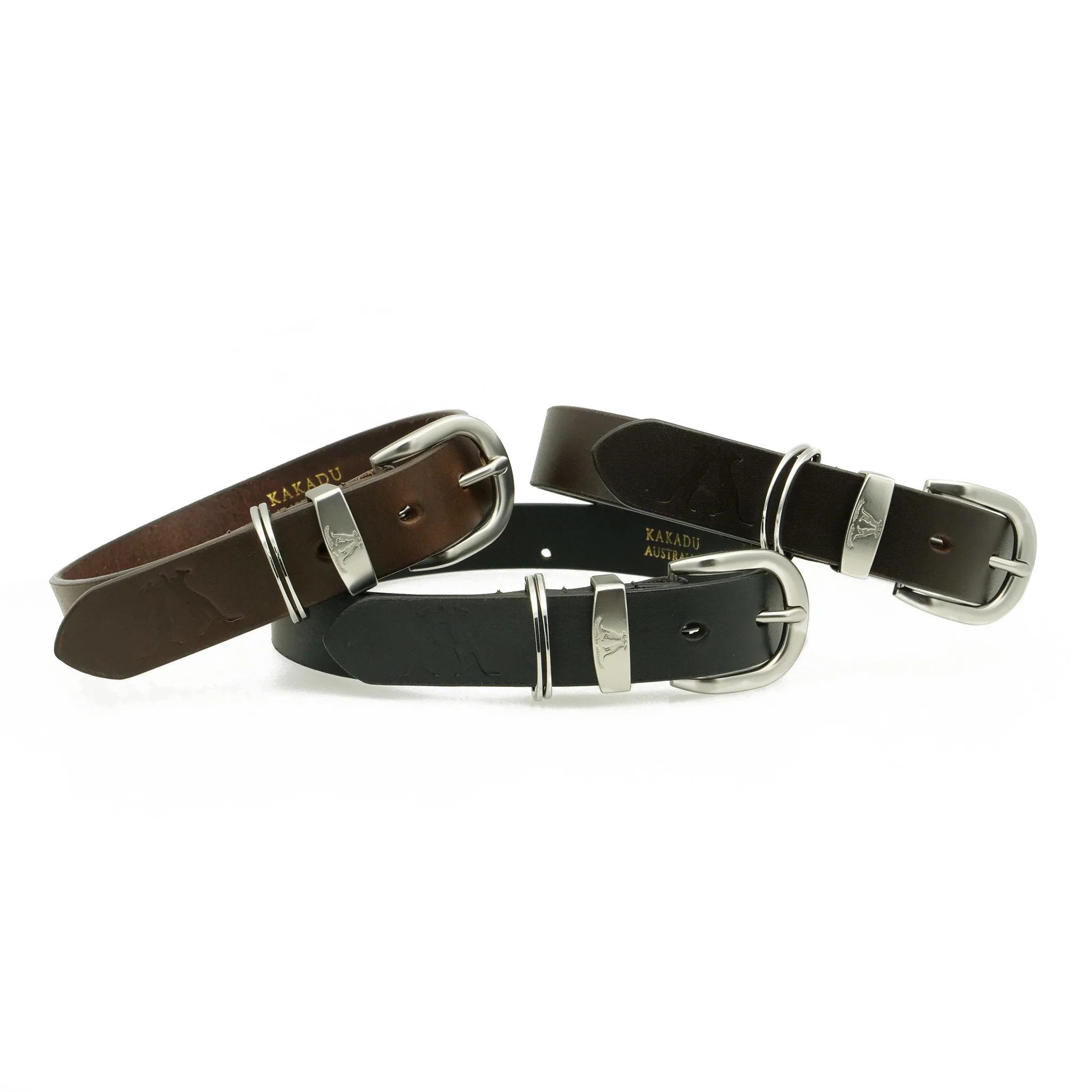 Dog Collar 28mm with Silver Buckle - Image 5