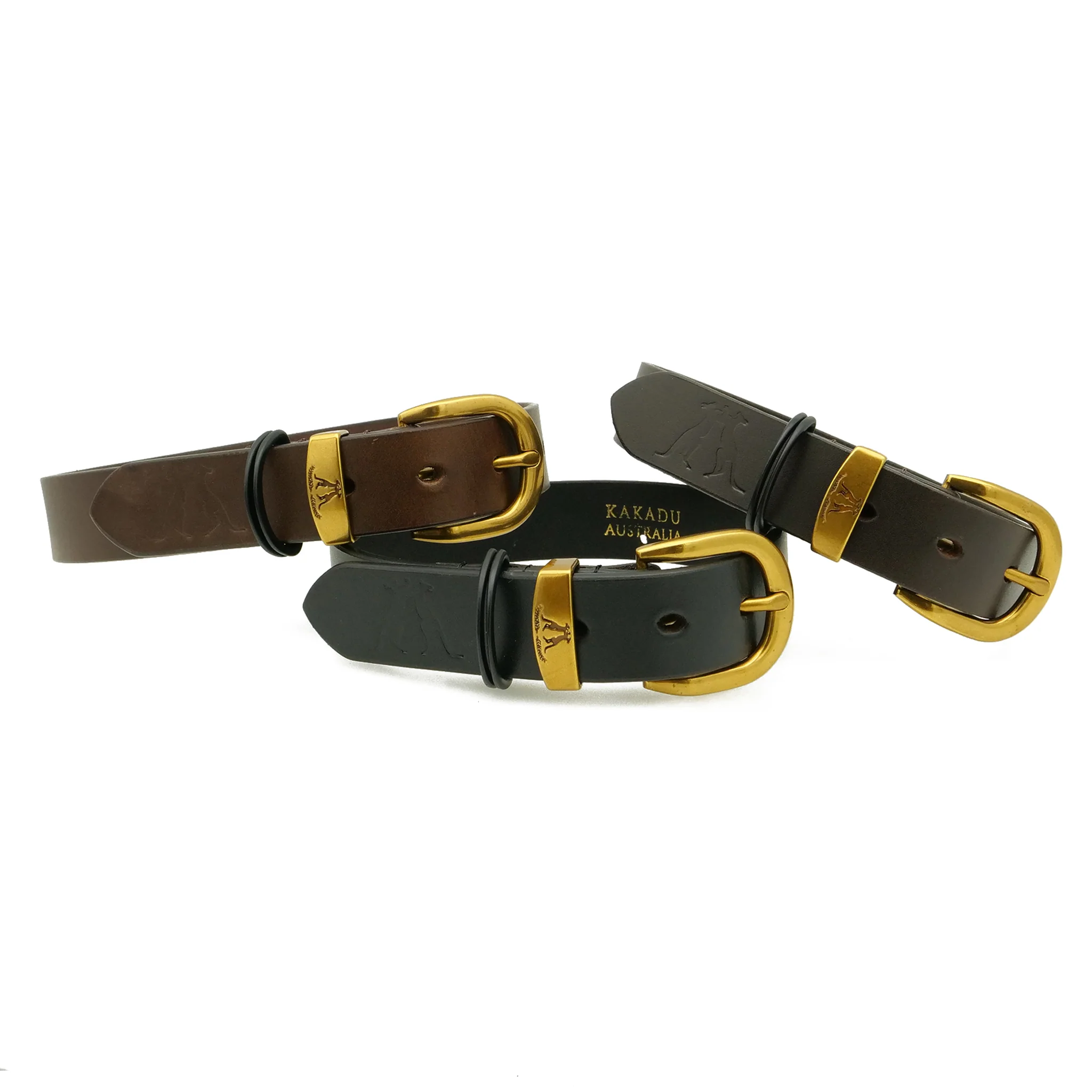 Dog Collar 28mm with Gold Buckle - Image 5